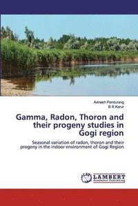 bokomslag Gamma, Radon, Thoron and their progeny studies in Gogi region