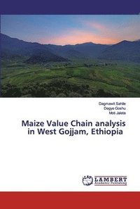bokomslag Maize Value Chain analysis in West Gojjam, Ethiopia