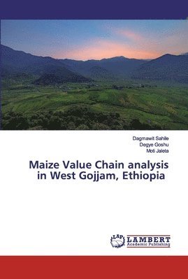 Maize Value Chain analysis in West Gojjam, Ethiopia 1