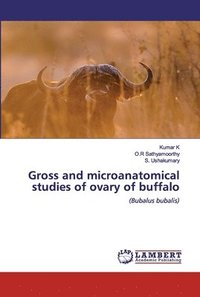 bokomslag Gross and microanatomical studies of ovary of buffalo
