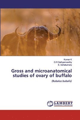 bokomslag Gross and microanatomical studies of ovary of buffalo