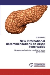 bokomslag New International Recommendations on Acute Pancreatitis