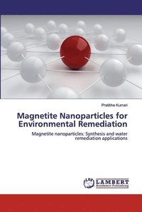 bokomslag Magnetite Nanoparticles for Environmental Remediation
