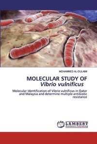 bokomslag MOLECULAR STUDY OF Vibrio vulnificus