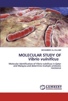 MOLECULAR STUDY OF Vibrio vulnificus 1