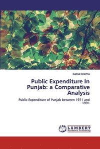 bokomslag Public Expenditure In Punjab