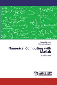 bokomslag Numerical Computing with Matlab