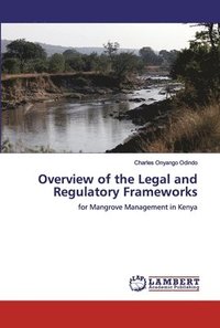 bokomslag Overview of the Legal and Regulatory Frameworks