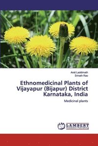 bokomslag Ethnomedicinal Plants of Vijayapur (Bijapur) District Karnataka, India