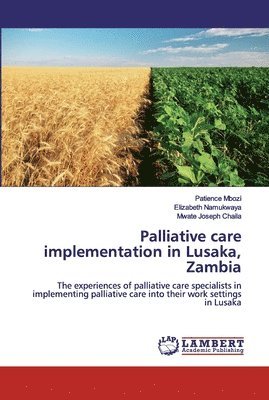 Patience Mbozi, Elizabeth Namukwaya, Mwate Joseph Chaila - Palliative care implementation in Lusaka, Zambia, Häftad