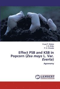 bokomslag Effect PSB and KSB in Popcorn (Zea mays L. Var. Everta)