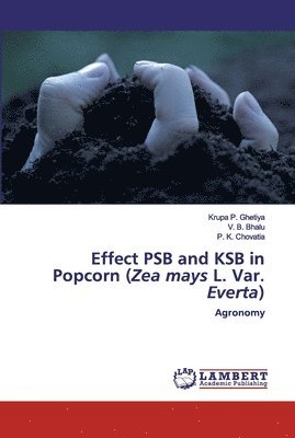 Effect PSB and KSB in Popcorn (Zea mays L. Var. Everta) 1