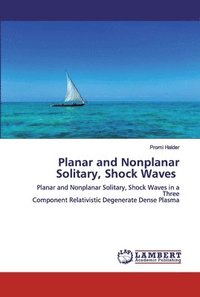 bokomslag Planar and Nonplanar Solitary, Shock Waves