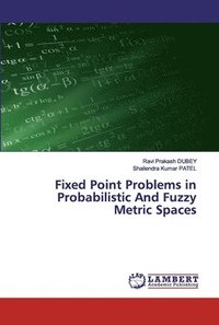 bokomslag Fixed Point Problems in Probabilistic And Fuzzy Metric Spaces