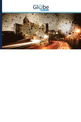 T Lucia Agnes Beena, D I George Amalarethinam, T. Lucia Agnes Beena, D. I. George Amalarethinam - Performance Enhancing Workflow, Häftad