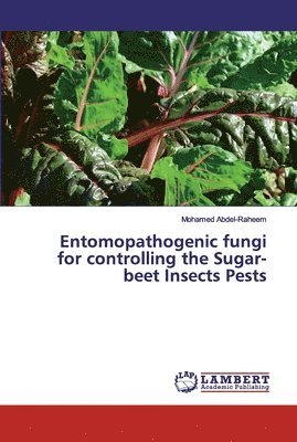 Entomopathogenic fungi for controlling the Sugar-beet Insects Pests 1
