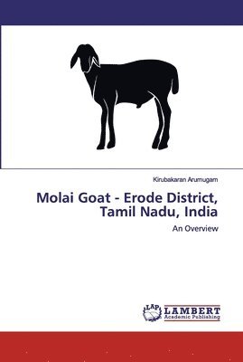 Molai Goat - Erode District, Tamil Nadu, India 1
