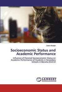bokomslag Socioeconomic Status and Academic Performance