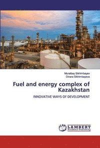 bokomslag Fuel and energy complex of Kazakhstan