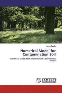 bokomslag Numerical Model for Contamination Soil
