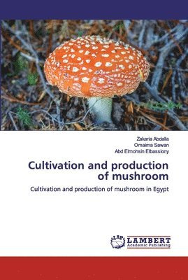 Cultivation and production of mushroom 1