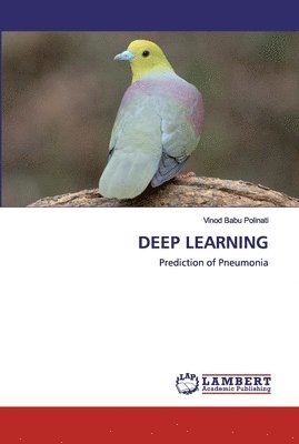 bokomslag Deep Learning