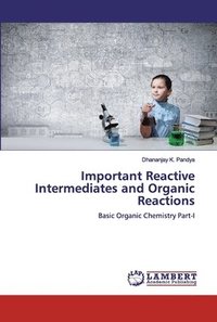 bokomslag Important Reactive Intermediates and Organic Reactions