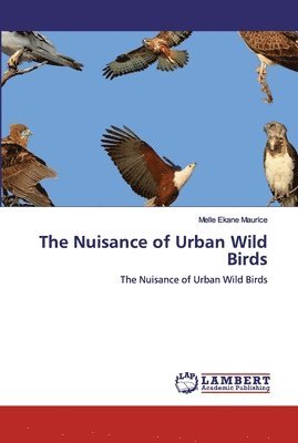 Melle Ekane Maurice - Nuisance of Urban Wild Birds, Häftad