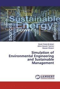 bokomslag Simulation of Environmental Engineering and Sustainable Management