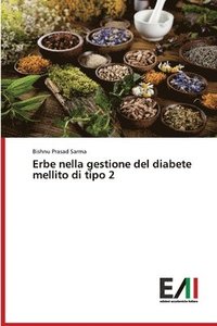 bokomslag Erbe nella gestione del diabete mellito di tipo 2