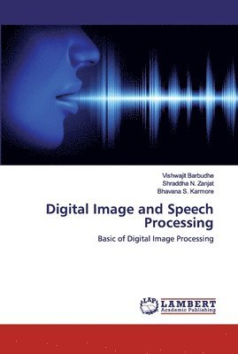 Digital Image and Speech Processing 1