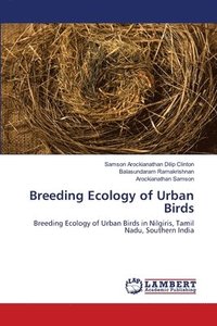 bokomslag Breeding Ecology of Urban Birds