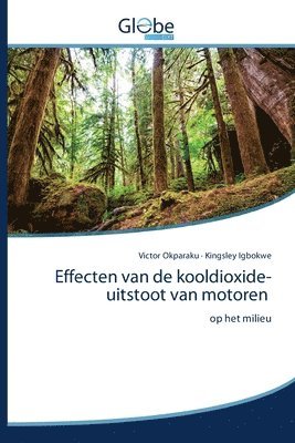 Victor Okparaku, Kingsley Igbokwe - Effecten van de kooldioxide-uitstoot van motoren, Häftad