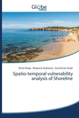 Spatio-temporal vulnerability analysis of Shoreline 1