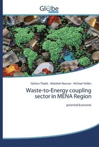bokomslag Waste-to-Energy coupling sector in MENA Region
