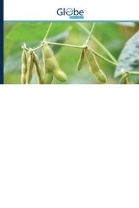 bokomslag Rainfall variability and risks of droughts during soybean cultivation
