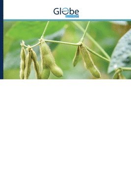 Rainfall variability and risks of droughts during soybean cultivation 1