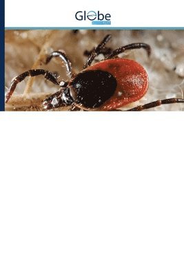 An Illustrated Guide to the Identification of Ticks 1