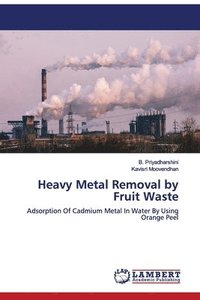 bokomslag Heavy Metal Removal by Fruit Waste