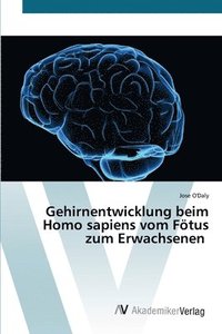 bokomslag Gehirnentwicklung beim Homo sapiens vom Ftus zum Erwachsenen