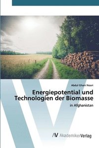 bokomslag Energiepotential und Technologien der Biomasse