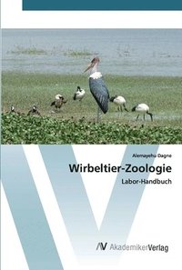 bokomslag Wirbeltier-Zoologie