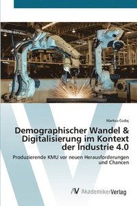 bokomslag Demographischer Wandel & Digitalisierung im Kontext der Industrie 4.0