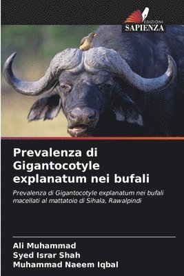 Ali Muhammad, Syed Israr Shah, Muhammad Naeem Iqbal - Prevalenza di Gigantocotyle explanatum nei bufali, Häftad