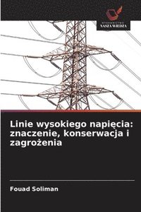 bokomslag Linie wysokiego napi¿cia: znaczenie, konserwacja i zagro¿enia