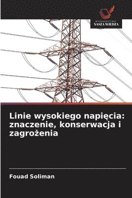 Fouad Soliman - Linie wysokiego napięcia: znaczenie, konserwacja i zagrożenia, Häftad