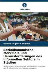 bokomslag Sozioökonomische Merkmale und Herausforderungen des informellen Sektors in Städten