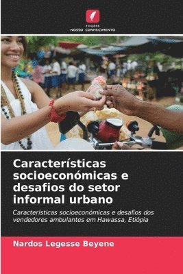 bokomslag Características socioeconómicas e desafios do setor informal urbano