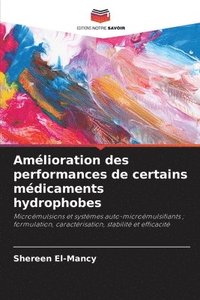 bokomslag Amélioration des performances de certains médicaments hydrophobes