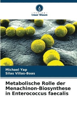 bokomslag Metabolische Rolle der Menachinon-Biosynthese in Enterococcus faecalis